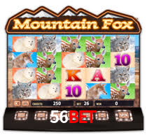 56bet,56bet.win